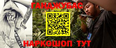 амф Заволжье