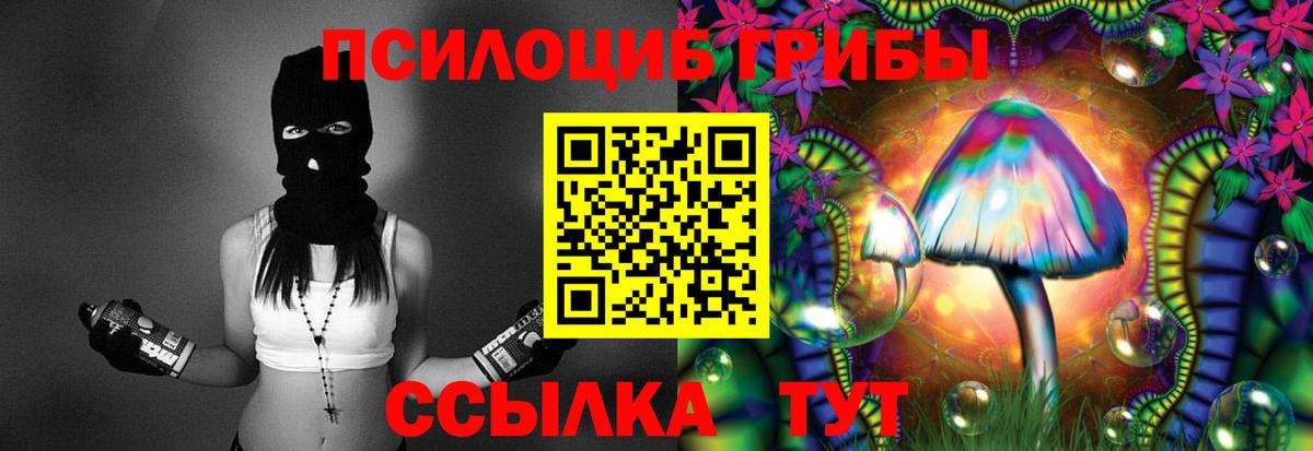 Псилоцибиновые грибы ЛСД Курчатов